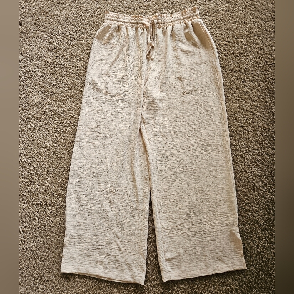 Rapbin Cream Wide-Leg Pants Silky Style Pants, Size Large